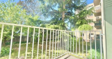 IMG_9649-1400427232690651157