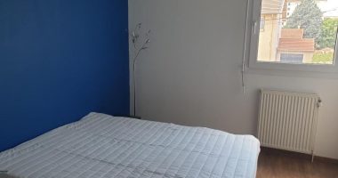 20190503_152600-min-4354126072367647662.jpg